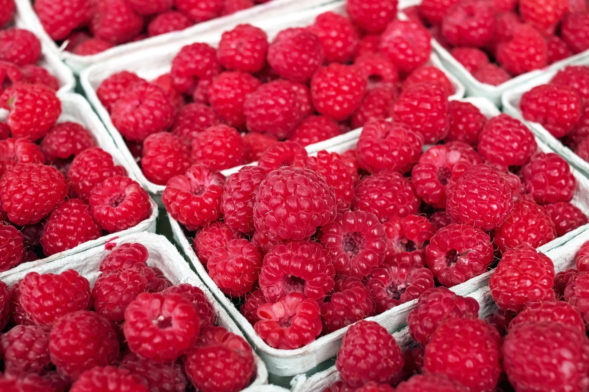 Frissen szedett málna közelről